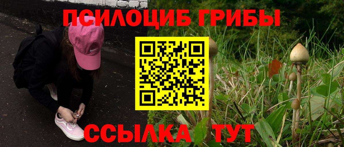 Галлюциногенные грибы прущие грибы  Вход с VPN  как найти   Галлюциногенные грибы прущие грибы  Артёмовский 