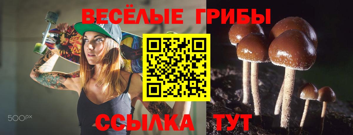 Галлюциногенные грибы MAGIC MUSHROOMS Артёмовский